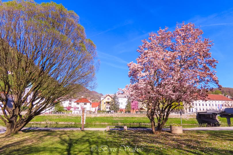 Pomlad v mestu pomlad v mestu